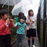 DSCN8102