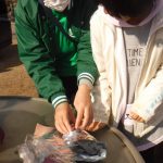 DSCF5486